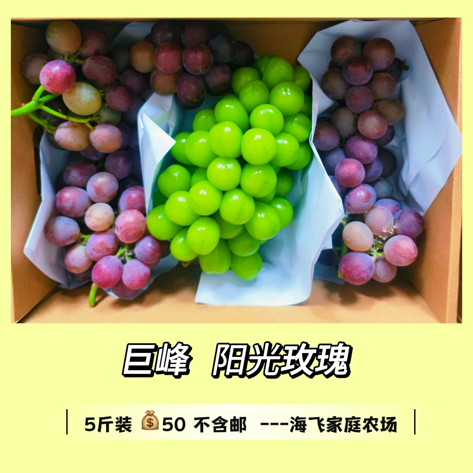 巨峰阳光玫瑰组合
