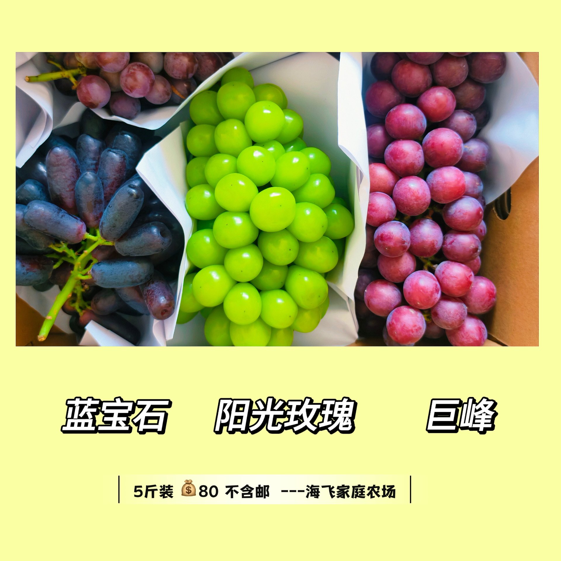 蓝宝石阳光玫瑰巨峰组合