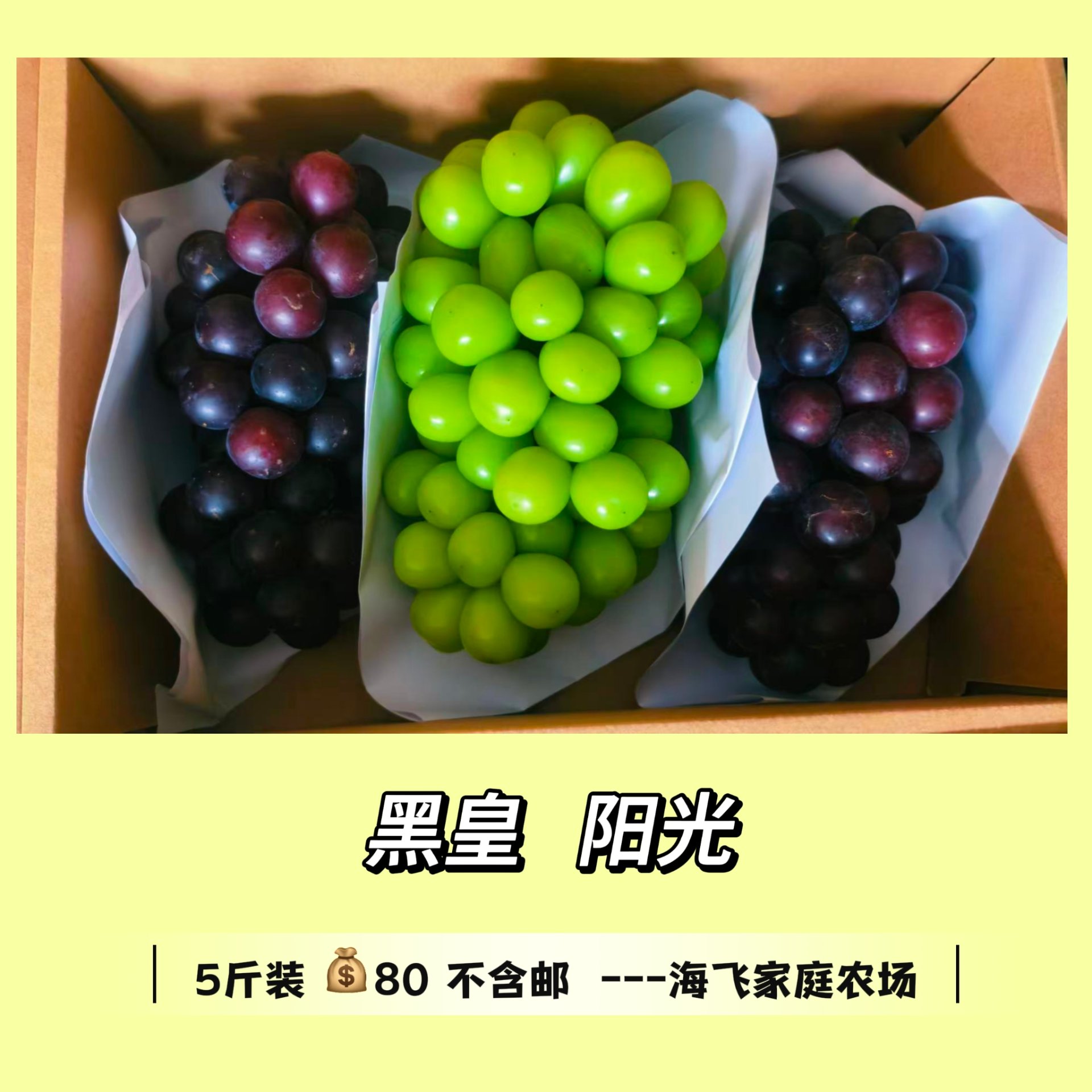黑皇阳光玫瑰组合