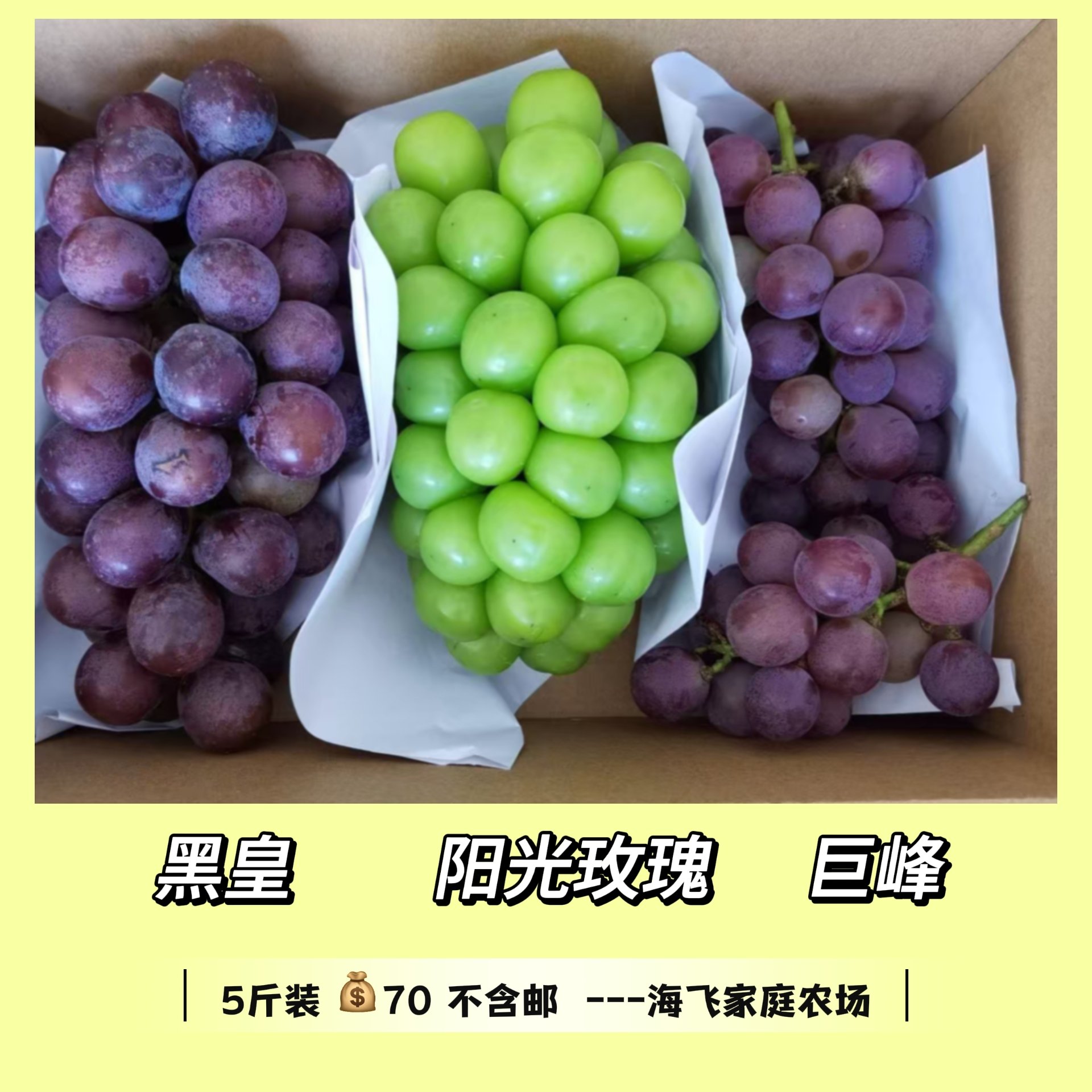 黑皇阳光玫瑰巨峰组合